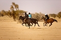 Course de Chevaux